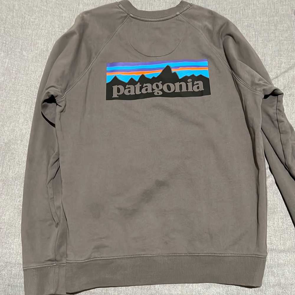 Patigonia sweatshirt
